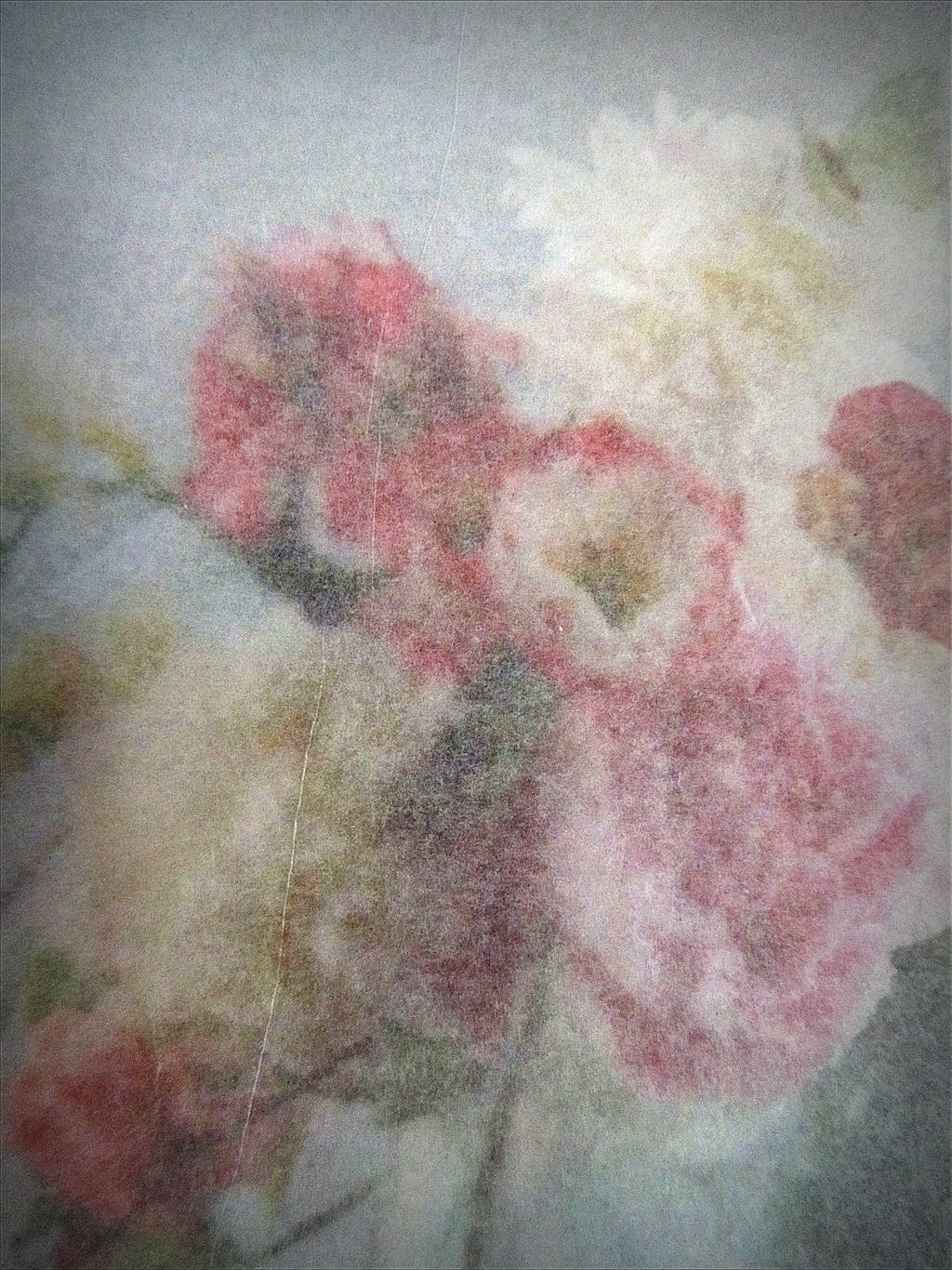 flowers through silk paper