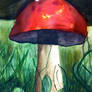 Toadstool