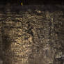 Concealed Topography 1