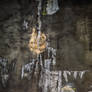 Dweller 13