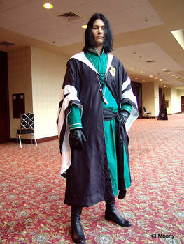 Snape the Quidditch Referee