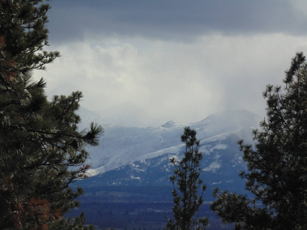 Winter Rockies