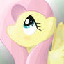 Fluttershy's Portrait