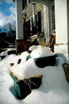 Hybernating Pots