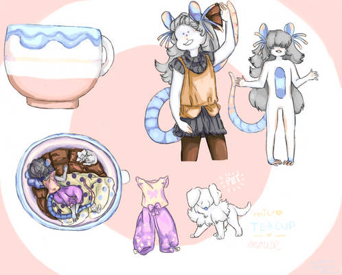 Open Adopt Auction: Microteacup one, Mouse