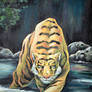 Tigre