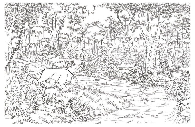 The_Jungle_Book3 by Betta-Fly