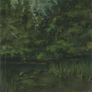 -Irchelpark: Frogs-