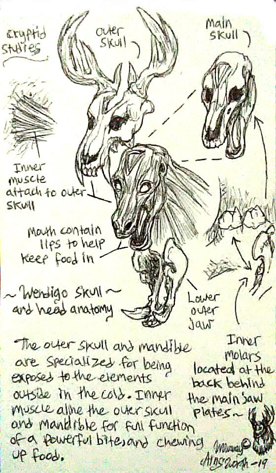 Anatomy Of The Wendigo The Head And Skull By LoganTRSeymour On DeviantArt anatomy-of-the-wendigo-the-head-and-skull-by-logantrseymour-on-deviantart