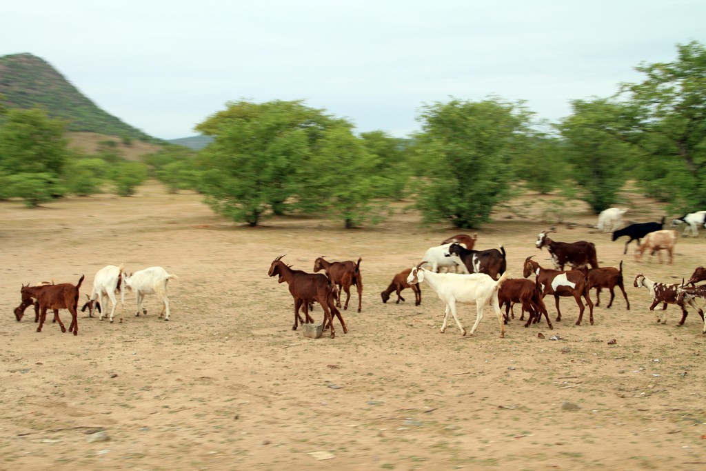 Opuwo Country Lodge, Namibia