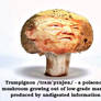 Trumpignon