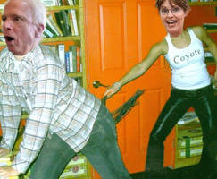 McCain-Palin manipulation