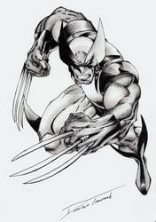 X-Men Wolverine