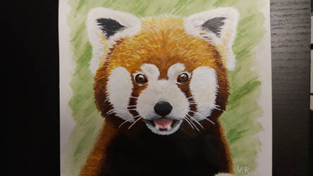 Red pandas are cute