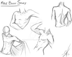 Male body study