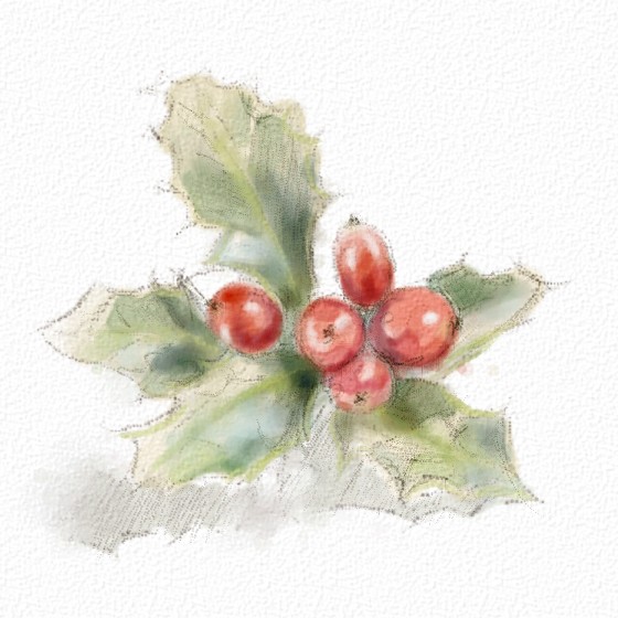 European Holly