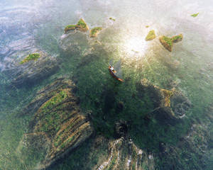 13-06-17 Fractal coral reef