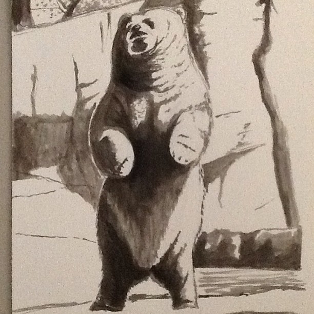 Bear