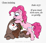 Clone Training