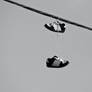 Shoes on a Wire