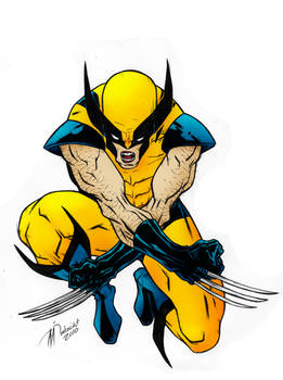 Wolverine Colored