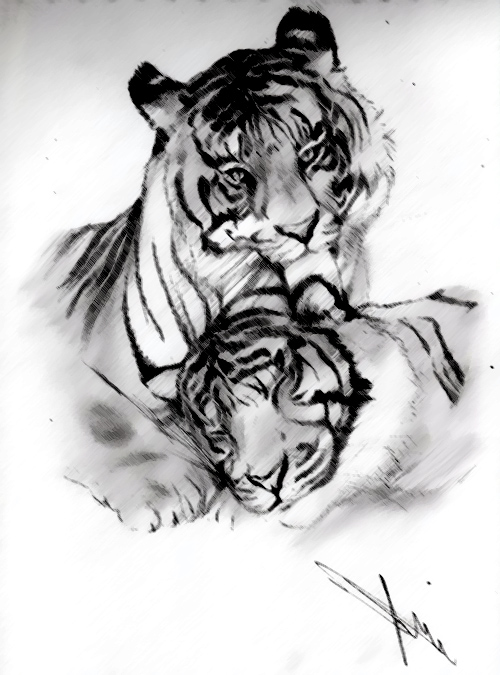 Tigers