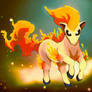 Ponyta