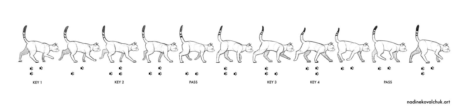 Cat Walk Cycle - animation frames
