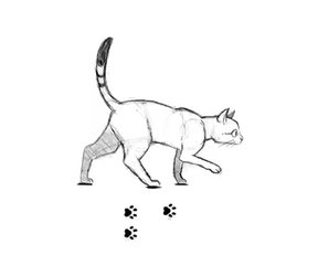 Cat's Walk Cycle - ANIMATION