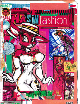Hasin Fashion cover