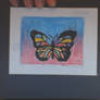 Printed Butterfly P