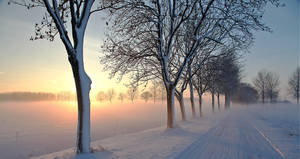 Winter in Holland  IV