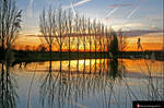 Golden Reflection by Betuwefotograaf