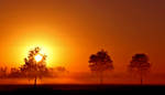 The morning light. by Betuwefotograaf