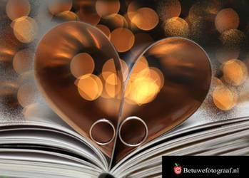Rings of Valentijnsday...... by Betuwefotograaf
