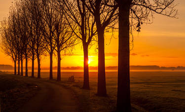 Misty Monday Morning in the Netherlands.....