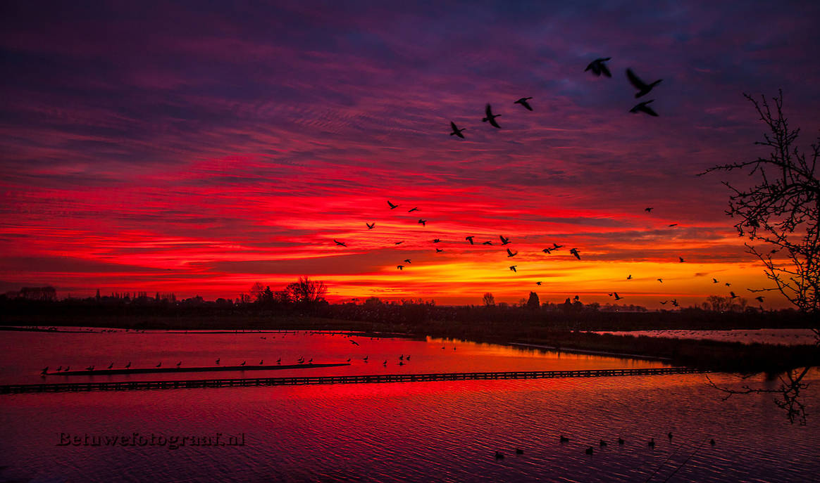 Bloodred was the sky this morning................ by Betuwefotograaf