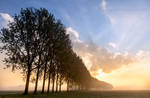 Trees in the mist V by Betuwefotograaf Trees in the mist V by Betuwefotograaf