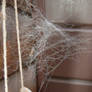 cement web 7