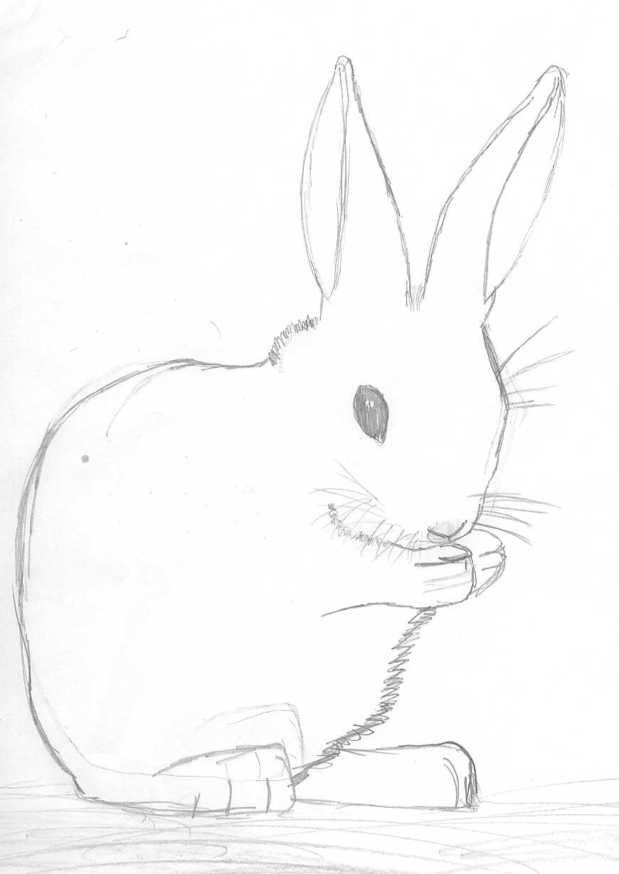 Bunny for Helene