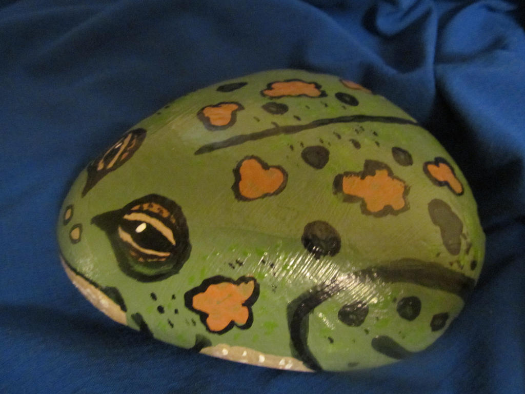 Froggy Rock by AmandaFerguson070707 on DeviantArt