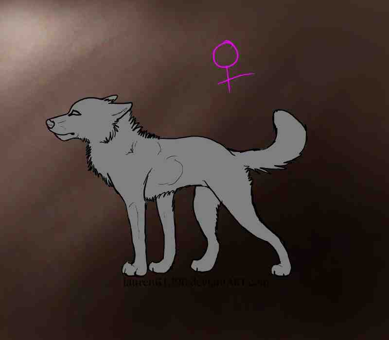 Female Wolf lineart Commission by Somber0wl on DeviantArt