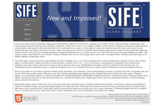 SIFE Website