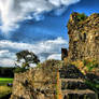 The Ruins of Castle Montfort II