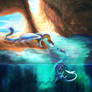 AF: Navigator