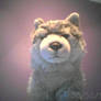 Missippi my signature timber wolf