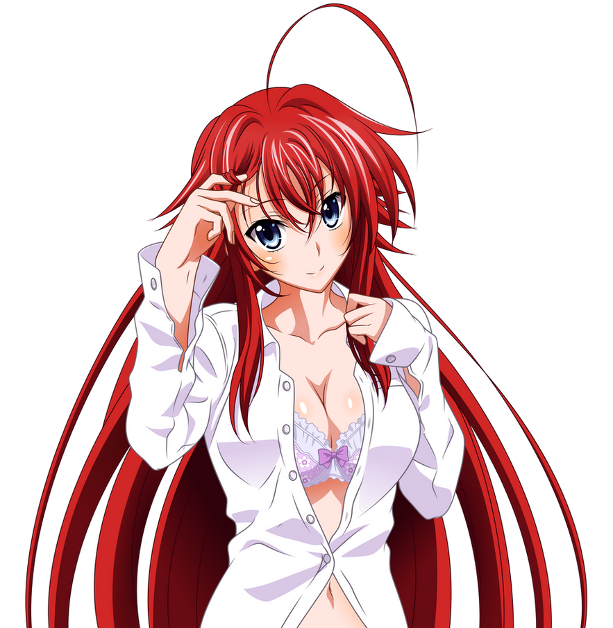 Rias Gremory High School Dxd By Starsilvery On Deviantart