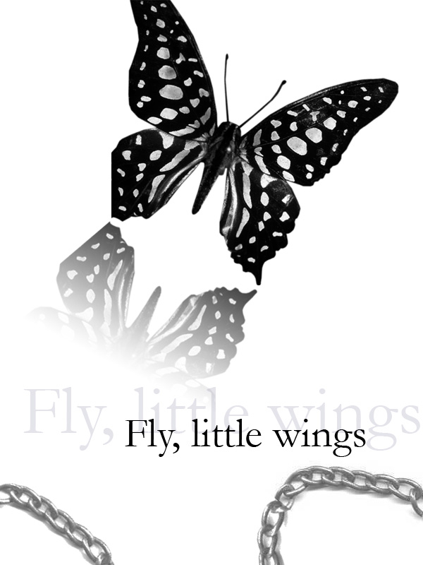 Little Wings