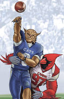 Wildcats Versus Cardinals