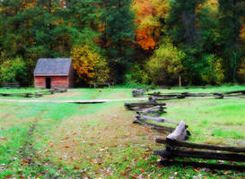 Fall Cabin